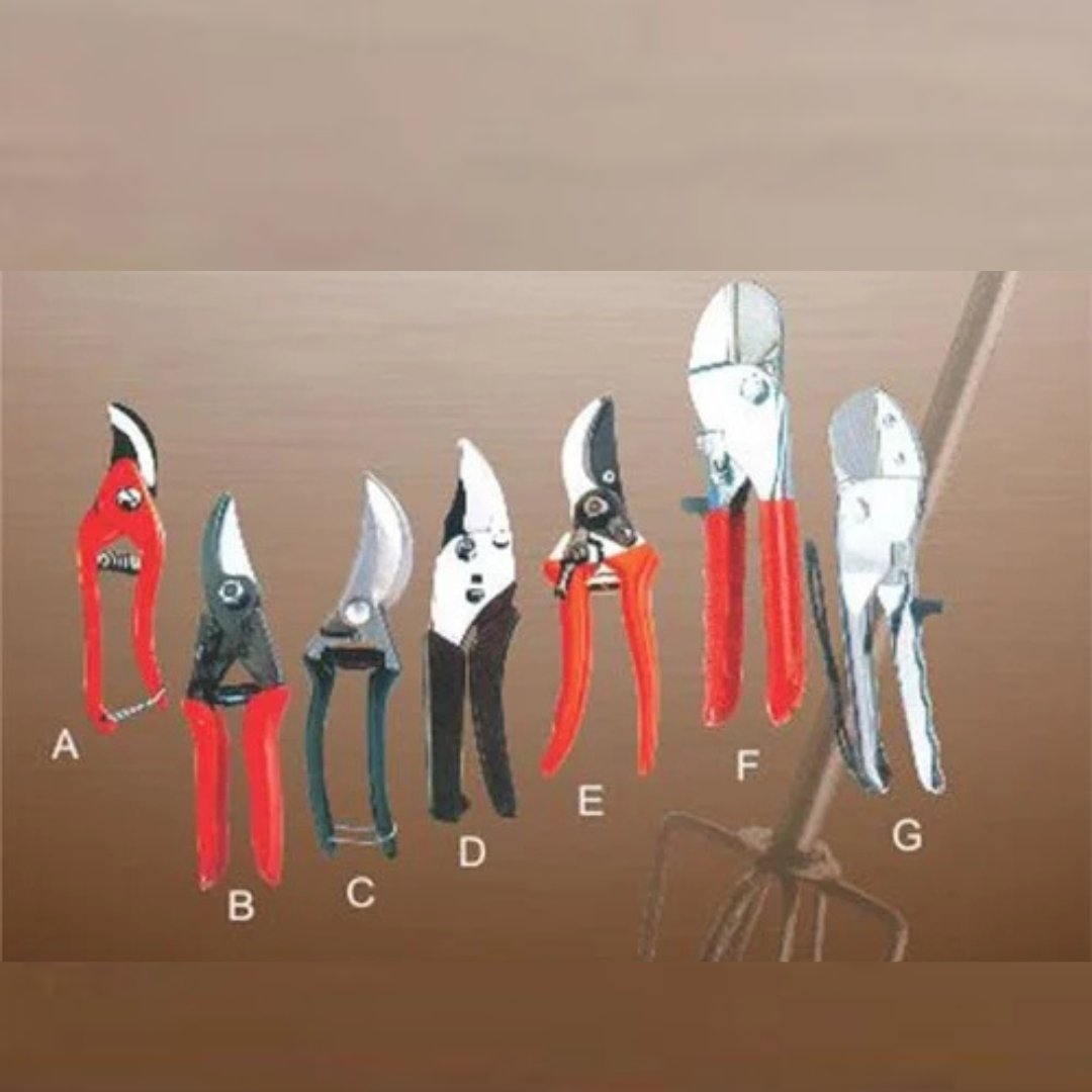 8 inch Pruning Secateurs (Shearing Type)